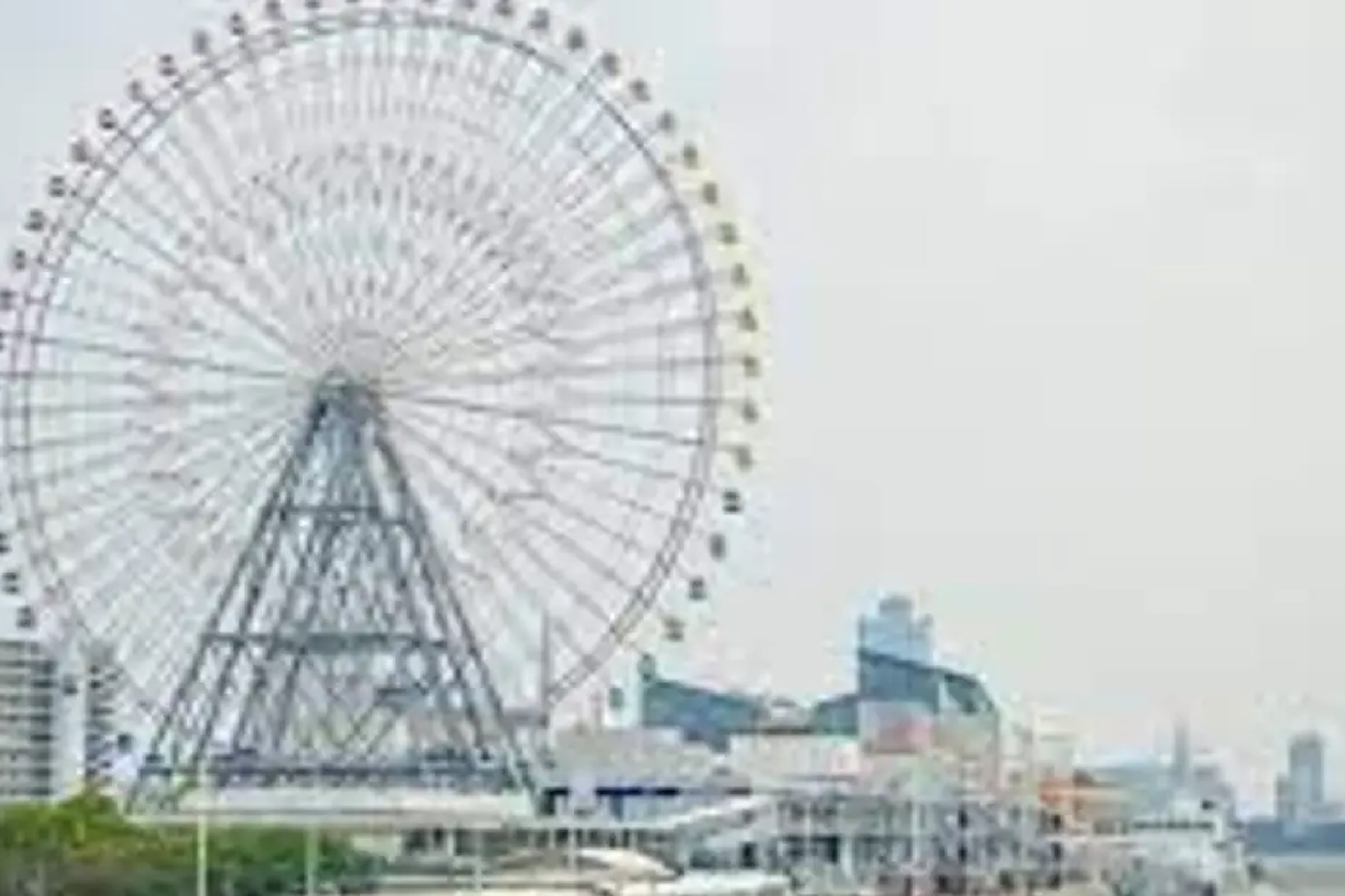 Osaka Custom Half Day Tour